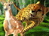 African Cheetah Hunting Simulator